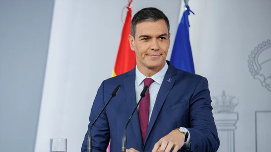 El presidente del Gobierno en funciones, Pedro Sánchez. El presidente del Gobierno en funciones, Pedro Sánchez.