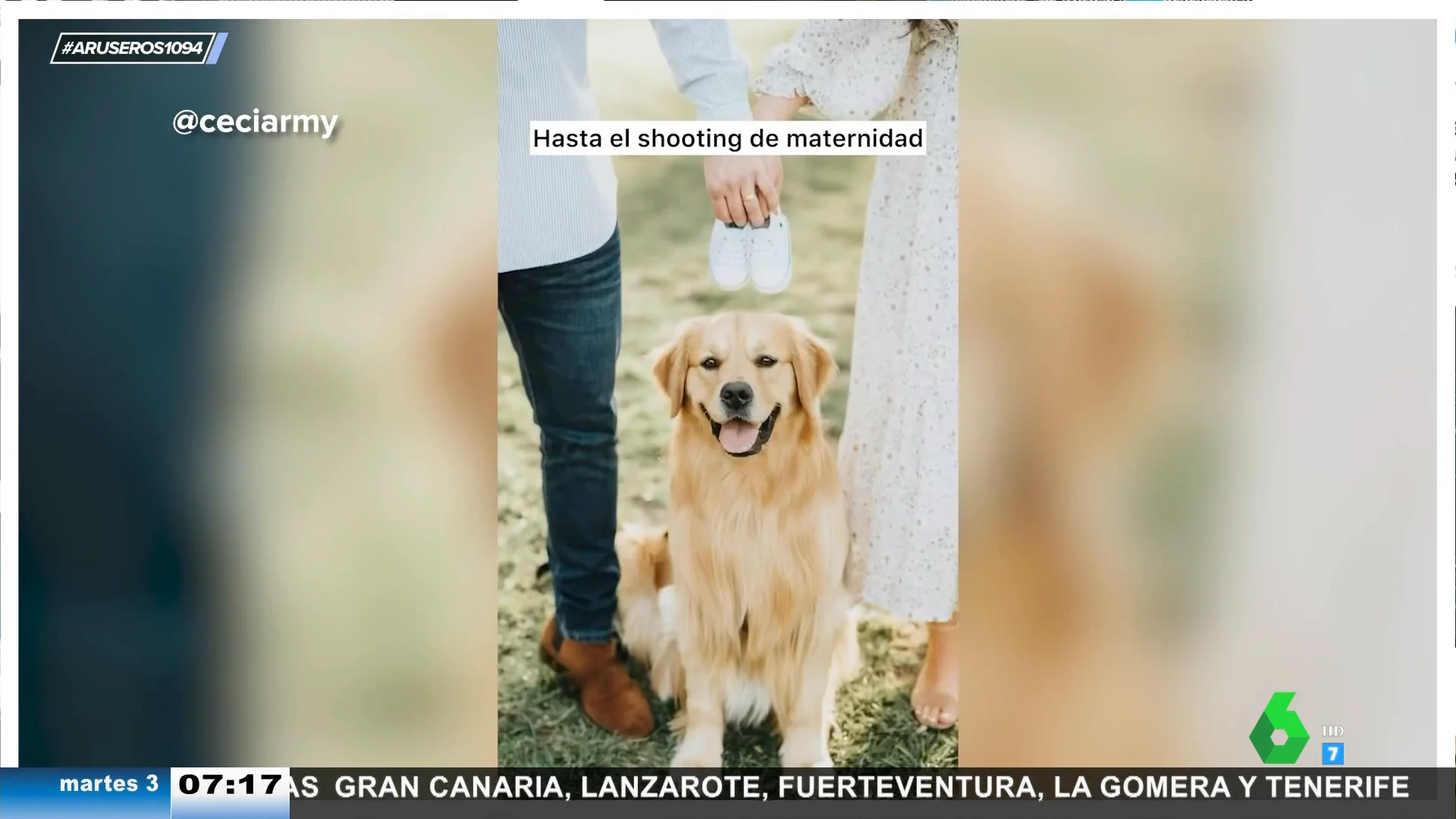 El tierno vídeo del perro que acompaña a su dueña durante todas las etapas del embarazo: así escoge el nombre del bebé