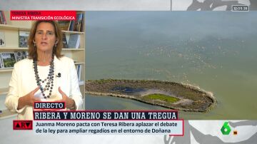 Teresa Ribera acerca el acuerdo con la Junta por Doñana y afirma que hay consenso en que es "un tesoro a preservar"
