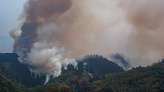 El Gobierno canario activa el nivel 2 del incendio forestal en Tenerife El Gobierno canario activa el nivel 2 del incendio forestal en Tenerife
