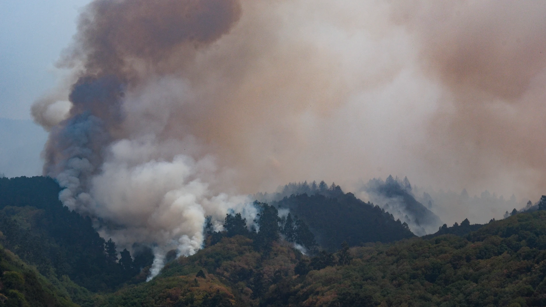 El Gobierno canario activa el nivel 2 del incendio forestal en Tenerife