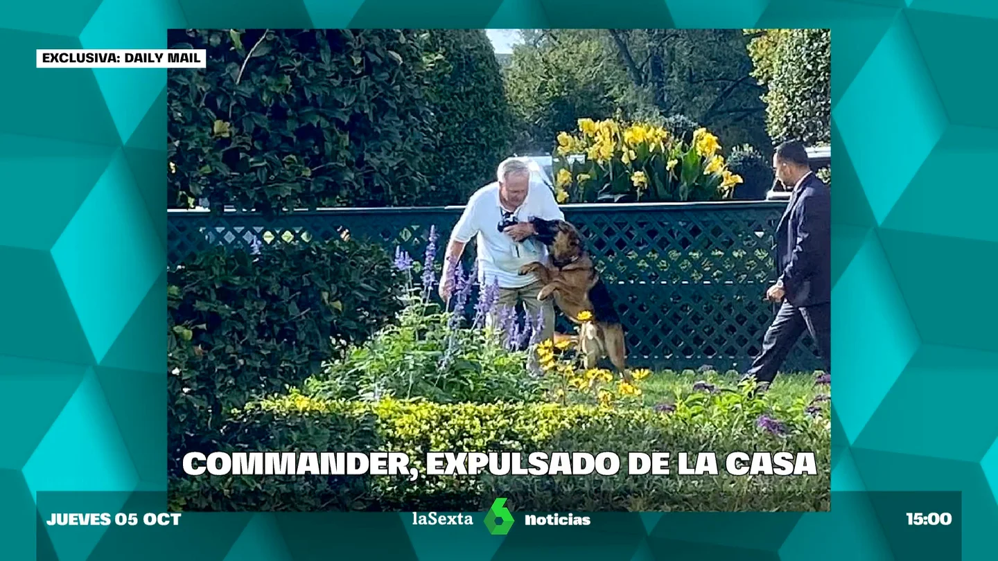 Expulsan al perro de los Biden de la Casa Blanca por morder a varios agentes perro biden