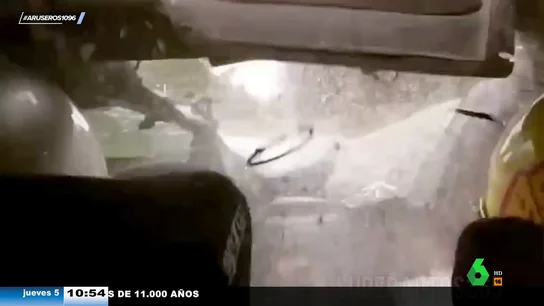 Un alce de 500 kilos impacta de frente contra un coche de rally a 120 km/h: estas son las imágenes del momento Un alce de 500 kilos impacta de frente contra un coche de rally a 120 km/h: estas son las imágenes del momento