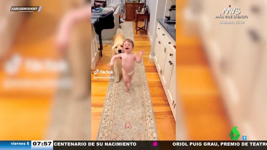 Un bebé y un perro juegan al pilla-pilla... y uno de ellos se deja ganar Un bebé y un perro juegan al pilla-pilla... y uno de ellos se deja ganar