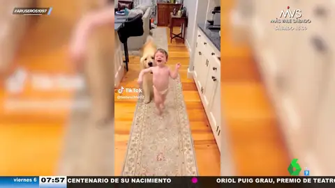 Un bebé y un perro juegan al pilla-pilla... y uno de ellos se deja ganar