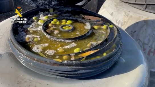 Doce detenidos por el robo de más de 74 toneladas de aceitunas en Sevilla Doce detenidos por el robo de más de 74 toneladas de aceitunas en Sevilla. Doce detenidos por el robo de más de 74 toneladas de aceitunas en Sevilla Doce detenidos por el robo de más de 74 toneladas de aceitunas en Sevilla.