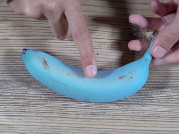 Plátano azul