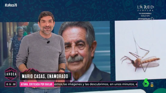La reacción de Nacho García al tatuaje que Eiza González se ha hecho por Mario Casas: "Parece un mosquito" La reacción de Nacho García al tatuaje que Eiza González se ha hecho por Mario Casas: "Parece un mosquito"