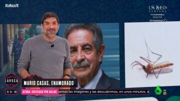 La reacción de Nacho García al tatuaje que Eiza González se ha hecho por Mario Casas: "Parece un mosquito"