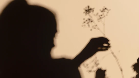 Qué hacer cuando una persona querida desaparece y creemos que puede intentar suicidarse para dejar de sufrir Qué hacer cuando una persona querida desaparece y creemos que puede intentar suicidarse para dejar de sufrir