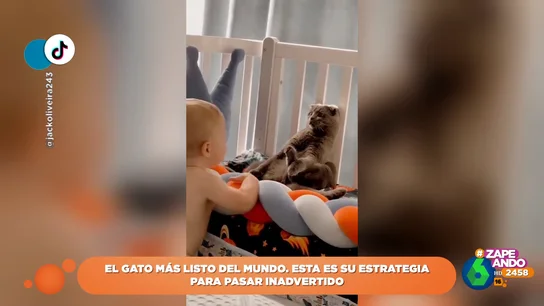 El curioso 'camuflaje' de un gato para evitar a un bebé El curioso 'camuflaje' de un gato para evitar a un bebé