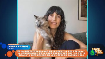 El divertido momento en el que el gato de Nerea Barros se 'cuela' en Zapeando
