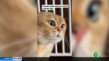 El 'espeluznante' vídeo viral del gato 'poseído' que habla en una lengua desconocida