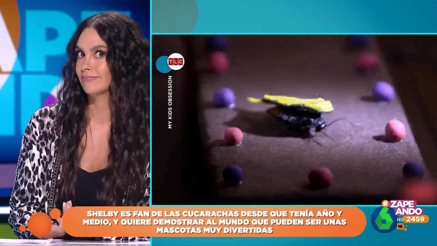 Las curiosas, y 'adorables', mascotas de una niña americana Las curiosas, y 'adorables', mascotas de una niña americana