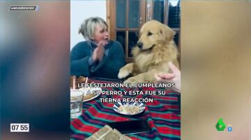 La felicidad del perro que aplaude y baila cuando su familia le canta 'Cumpleaños feliz': "Responde mejor que los humanos"
