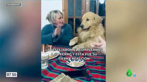 La felicidad del perro que aplaude y baila cuando su familia le canta 'Cumpleaños feliz': "Responde mejor que los humanos"
