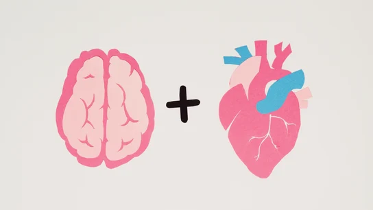 Una imagen que relaciona el cerebro con el corazón Una imagen que relaciona el cerebro con el corazón