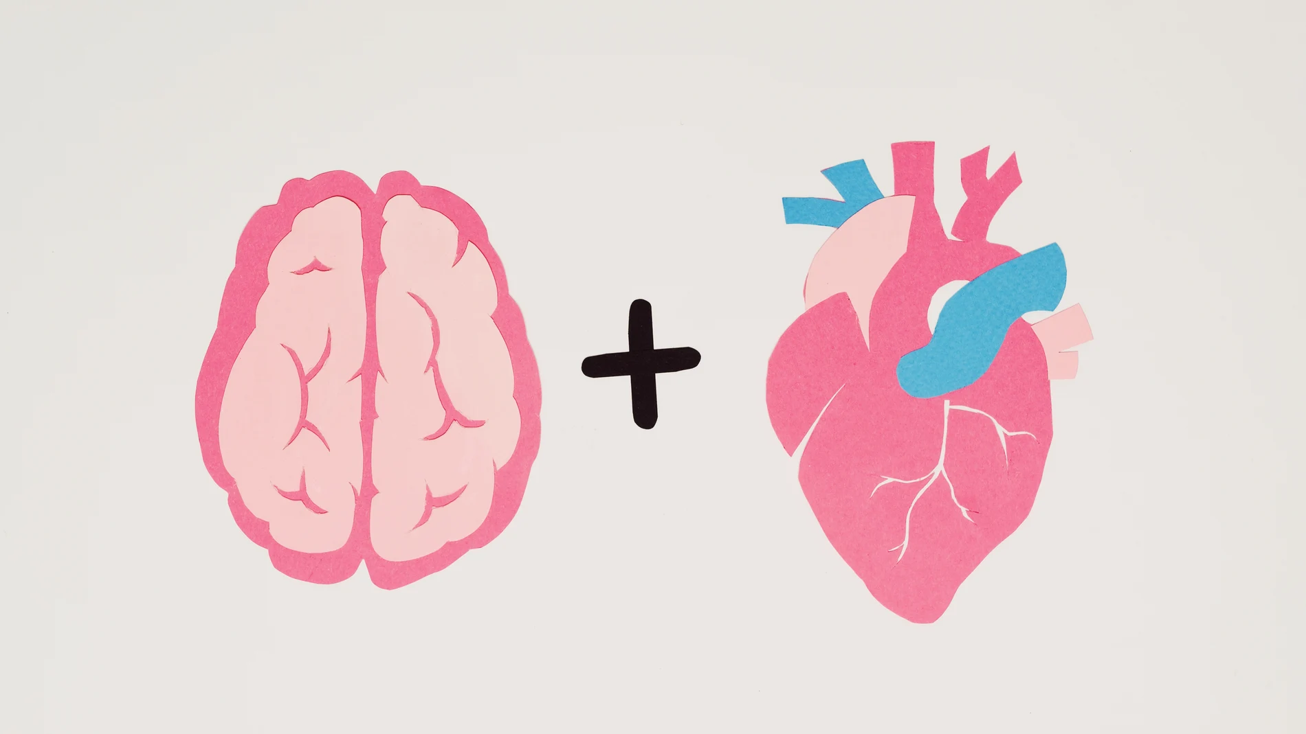 Una imagen que relaciona el cerebro con el corazón