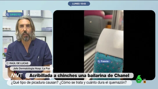 MVT Raúl Prieto chinches MVT Raúl Prieto chinches