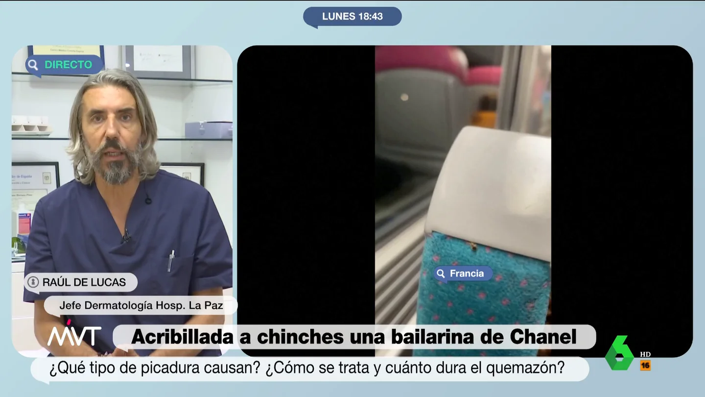 MVT Raúl Prieto chinches MVT Raúl Prieto chinches