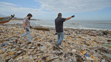 Enviado especial Enviado especial