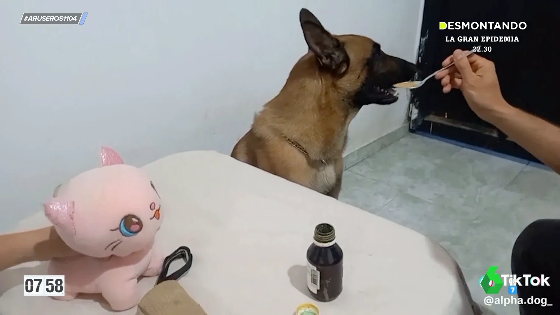 El truco definitivo para que tu perro se tome el jarabe sin rechistar: la táctica del peluche apaleado