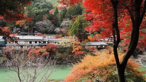 Momiji en Arashiyama. Kioto Momiji en Arashiyama. Kioto