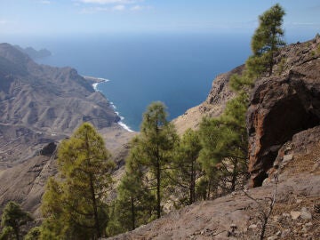 Parque Natural de Tamadaba, en Gran Canaria