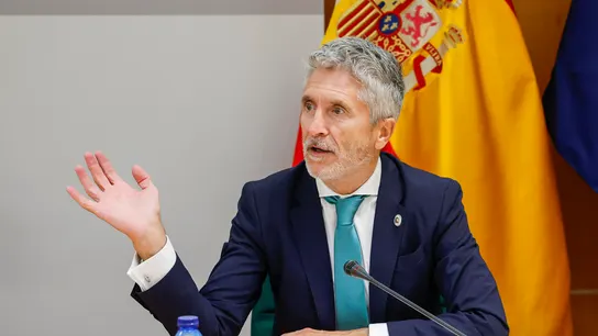 El ministro del Interior en funciones, Fernando Grande-Marlaska El ministro del Interior en funciones, Fernando Grande-Marlaska