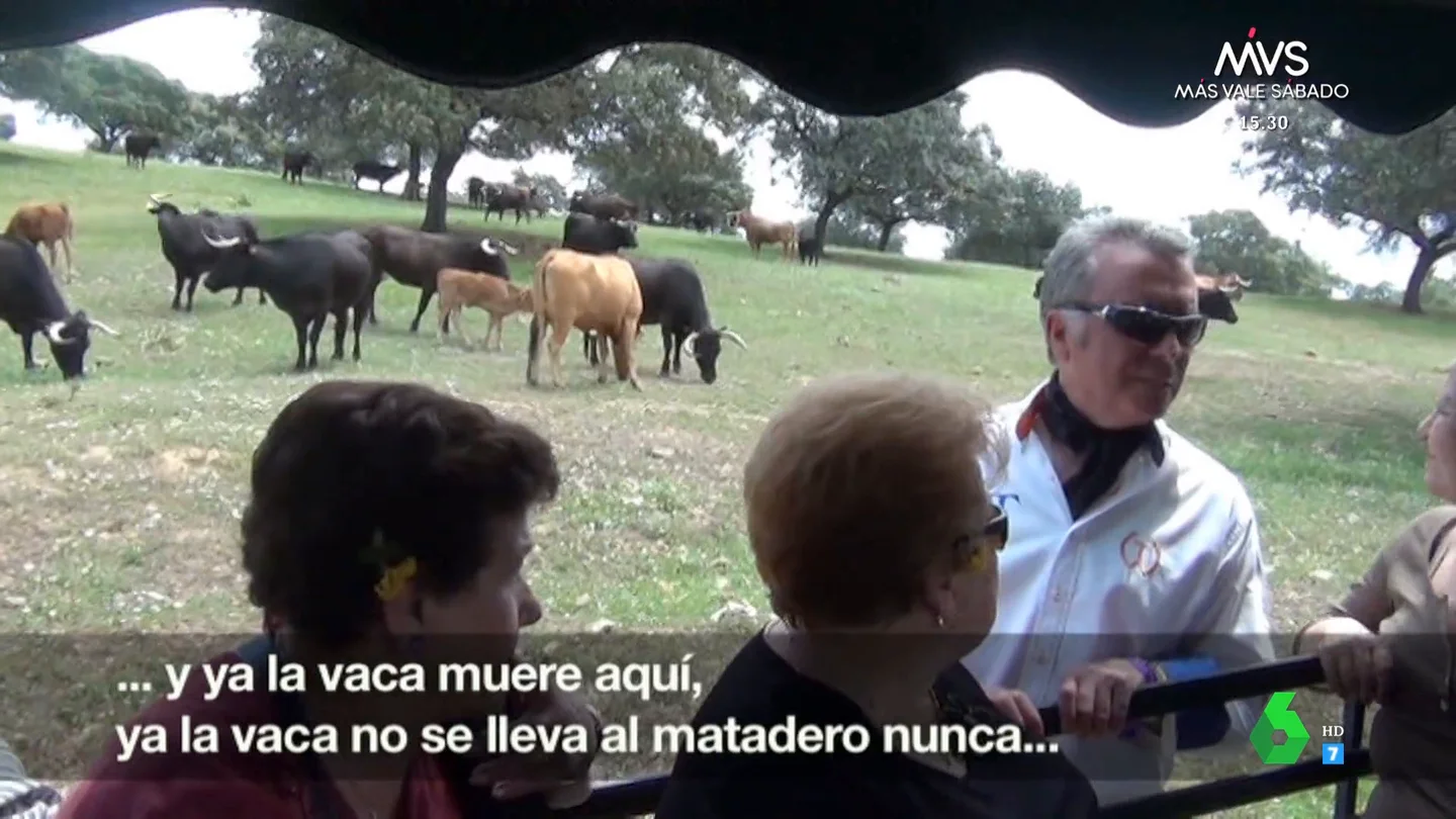 Así ejercía Ortega Cano de anfitrión ante los turistas en la Yerbabuena tras el accidente que le costó la vida a Carlos Parra Así ejercía Ortega Cano de anfitrión ante los turistas en la Yerbabuena tras el accidente que le costó la vida a Carlos Parra