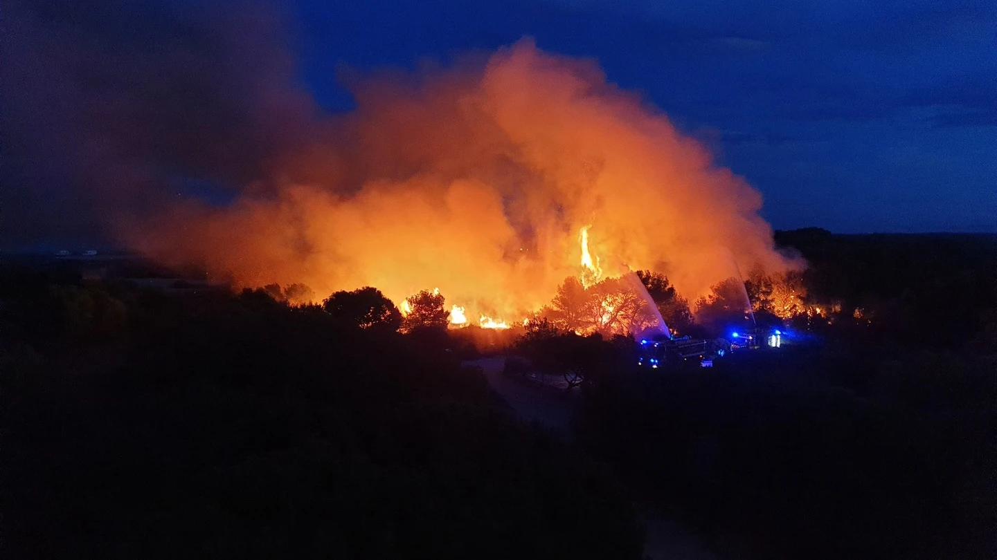 Segundo incendio provocado en Valencia en tres días Segundo incendio provocado en Valencia en tres días