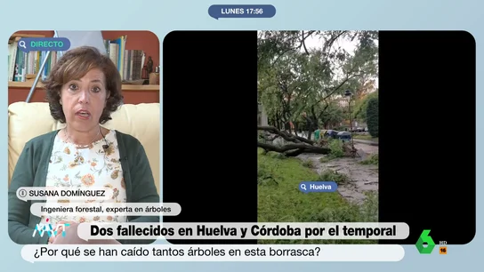 Susana Domínguez, ingeniera forestal experta en árboles Susana Domínguez, ingeniera forestal experta en árboles