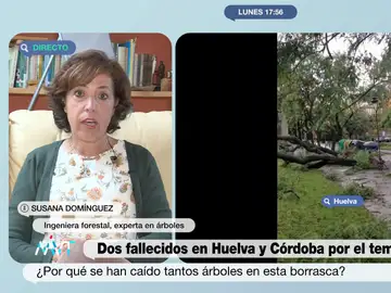 Susana Domínguez, ingeniera forestal experta en árboles 