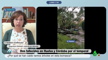 Susana Domínguez, ingeniera forestal experta en árboles 