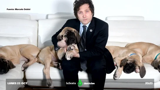 Los "hijitos de cuatro patas" del ultra Milei: así clonó a su perro muerto, con el que habla vía una médium Los "hijitos de cuatro patas" del ultra Milei: así clonó a su perro muerto, con el que habla vía una médium