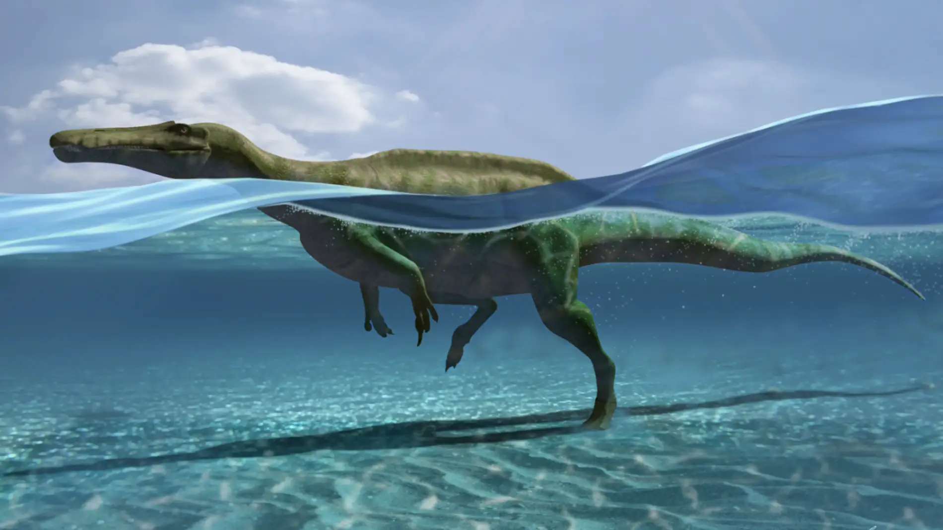 Encuentran en La Rioja 27 huellas de dinosaurios que sabian nadar