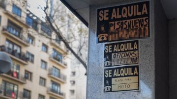 El alquiler ha ca&iacute;do m&aacute;s de un 30% tras la entrada en vigor de la Ley de Vivienda 