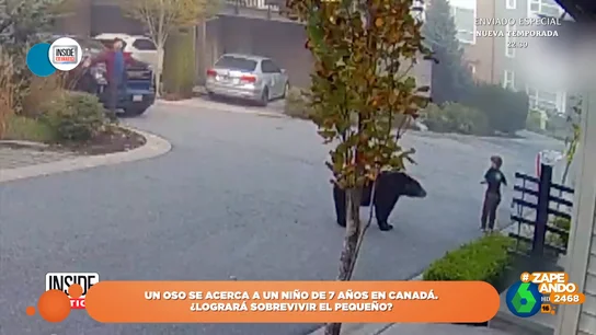 El inquietante momento en el que un oso se aproxima a un niño de siete años en Canadá El inquietante momento en el que un oso se aproxima a un niño de siete años en Canadá