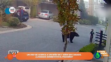 El inquietante momento en el que un oso se aproxima a un niño de siete años en Canadá