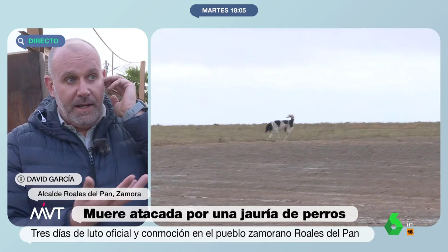Habla el alcalde del pueblo donde una jauría de perros mató a una joven: "Es muy raro que actúen de esa forma" Habla el alcalde del pueblo donde una jauría de perros mató a una joven: "Es muy raro que actúen de esa forma"