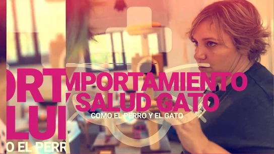 Quién es Ana Anglada: una veterinaria experta en medicina felina a la que le daban miedo los gatos Ana Anglada