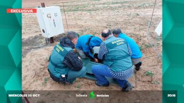 Imágenes en exclusiva: la Guardia Civil sella los pozos clandestinos de la Casa de Alba en Doñana