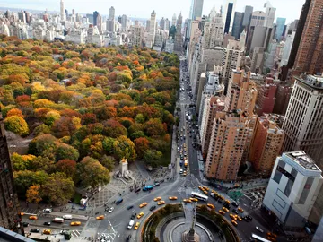 Central Park. Nueva York Central Park. Nueva York