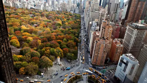 Central Park. Nueva York Central Park. Nueva York