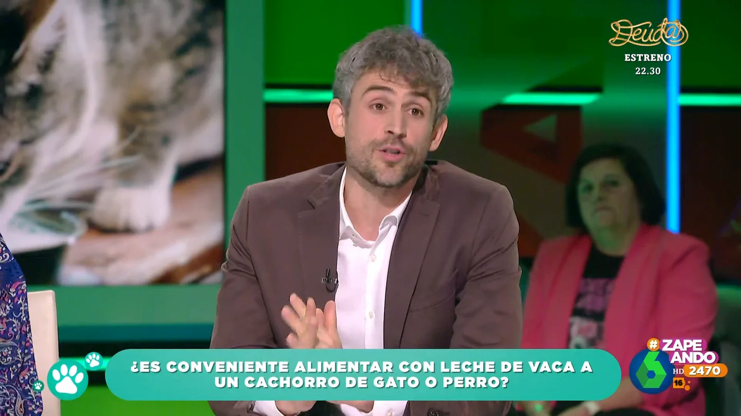 ¿Pueden tomar leche de vaca los gatos y perros? El veterinario Víctor Algra responde ¿Pueden tomar leche de vaca los gatos y perros? El veterinario Víctor Algra responde