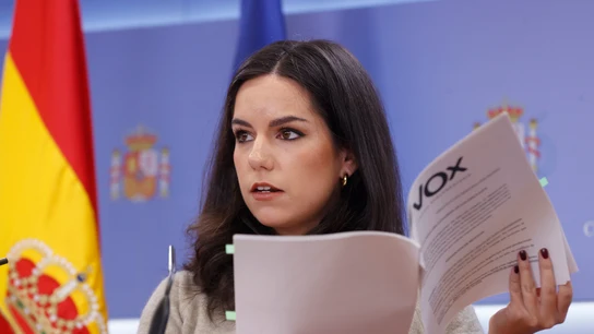 La portavoz del Grupo Parlamentario VOX, Pepa Millán La portavoz del Grupo Parlamentario VOX, Pepa Millán/ EFE/ Juan Carlos Hidalgo