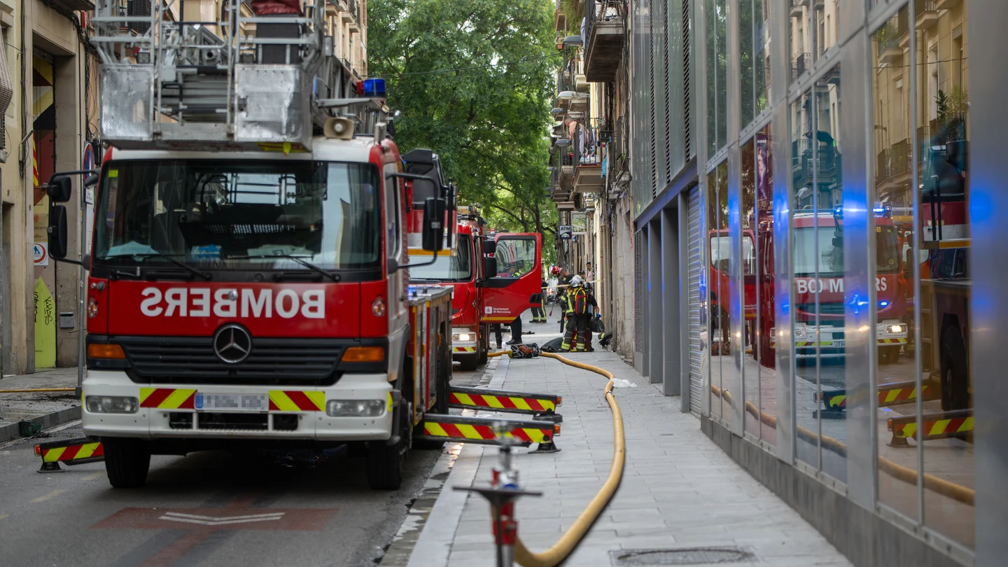 El TS confirma la sentencia de 8 años y 8 meses de cárcel a un hombre que provocó un incendio en el domicilio de su pareja matando a su gata El TS confirma la sentencia de 8 años y 8 meses de cárcel a un hombre que provocó un incendio en el domicilio de su pareja matando a su gata