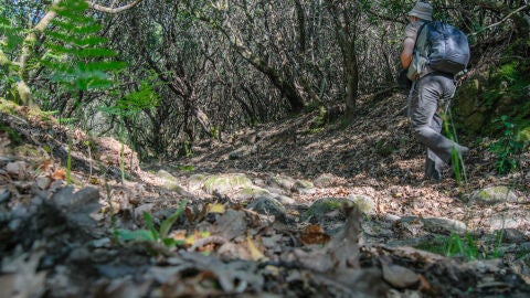 Senderos de la Sierra de Francia