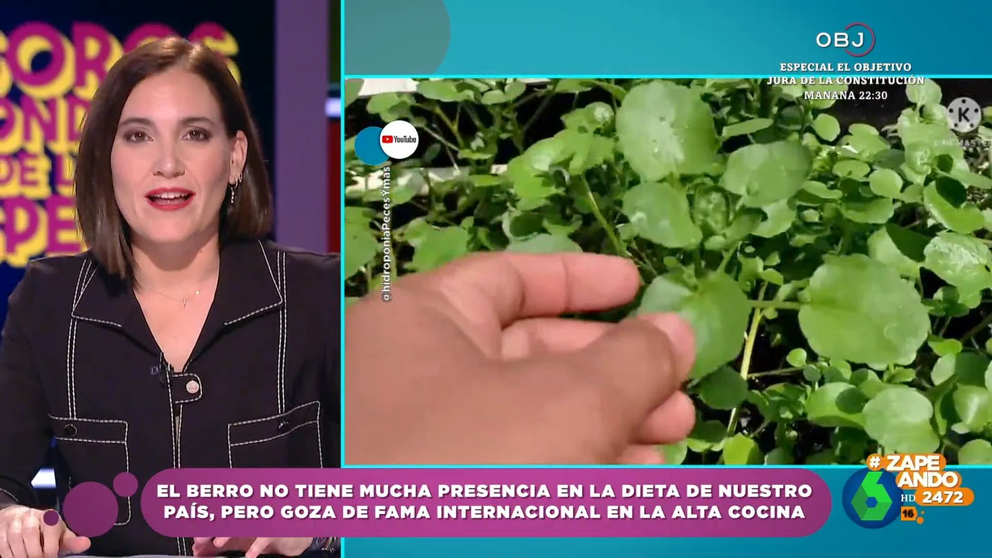 ¿Por qué tenemos al berro 'arrinconado' en nuestra dieta? Boticaria García señala que tiene buena fama en la alta cocina ¿Por qué tenemos al berro 'arrinconado' en nuestra dieta? Boticaria García señala que tiene buena fama en la alta cocina