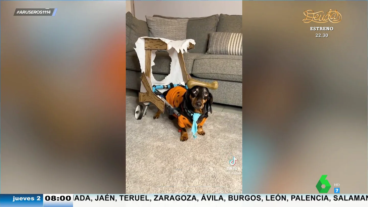 De Perro Picapiedra a la 'perrolancia': los disfraces de perro más divertidos de este Halloween De Perro Picapiedra a la 'perrolancia': los disfraces de perro más divertidos de este Halloween